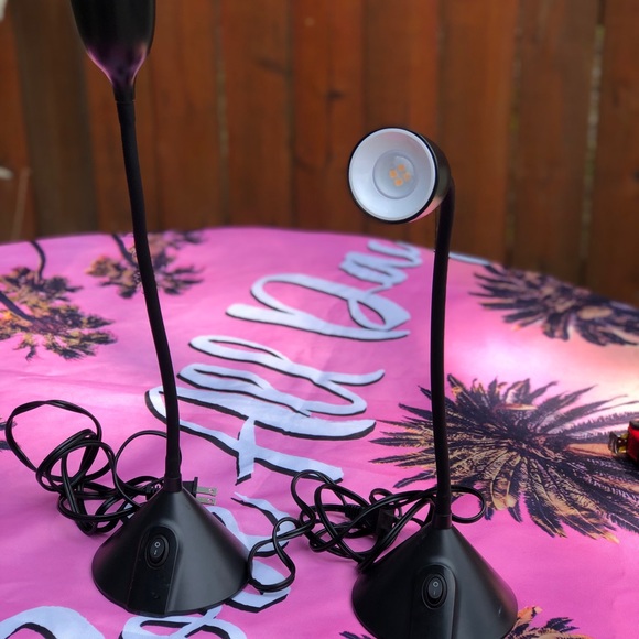 Lap - Picture 10 of 12